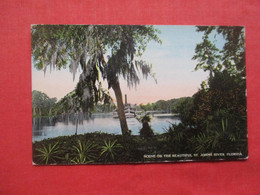 Steamer St Johns River.     Florida > .     Ref 5853 - Autres & Non Classés