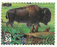 USA 2001 MiNr. 3452  Great Plains Prairie Mammals American Bison 1v MNH**  0.90 € - Sonstige