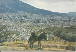 CPM Equateur Quito  Vista Parcial De Quito Con Su Asno Aguatero  Ane  06 10 1992 - Equateur