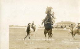 Montana - Miles City - Dick Wilson Taming Anarchist - Rodeo? - Dressage De Cheval? - Miles City