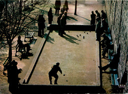 Sport * Pétanque * Jeu De Boule * Boulodrome - Boule/Pétanque