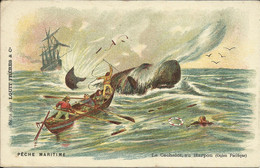 PECHE MARITIME , Le Cachalot Au Harpon ( Océan Pacifique ) , Carte PUB Du CHOCOLAT LOUIT FRERES & C° , µ - Pêche