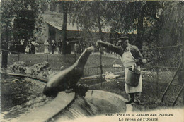 Paris * 5ème * Le Jardin Des Plantes * Le Repas De L'otarie - Arrondissement: 05