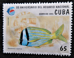 Timbre De Cuba 1995 The 35th Anniversary Of The National Aquarium   Y&T N° 3433 - Gebruikt