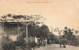 CPA NOUVELLE CALEDONIE - Caferie à Canala - W H L Editeur - Nieuw-Caledonië