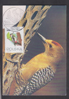 POLAND, CARTE MAXIMUM - BIRDS-Dendrocopos Syriacus + - Pavoni