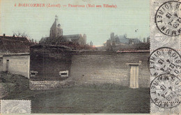 CPA - FRANCE - 45 - BOISCOMMUN - Panorama - Mail Aux Tilleuls - Colorisée - Autres & Non Classés