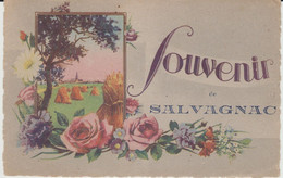 SALVAGNAC (81) - SOUVENIR - Bon état - Salvagnac