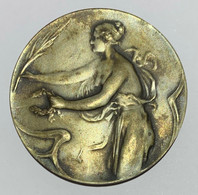 Médaille. V.B.P. 1950. Vlaamse Bond Van Postzegelverzamelaars. Diam. 50 Mm - Firma's