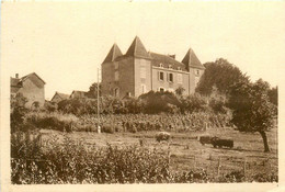 St Gilles * Vue Sur Le Château - Autres & Non Classés