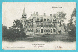 * Wommelgem - Wommelghem (Antwerpen - Anvers) * (F. Hoelen, Nr 588) Chateau De Selsaete, Kasteel Zelzate, TOP - Wommelgem