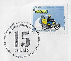 Brazil 2010 Cover With Commemorative Cancel World Elder Abuse Awareness Day Human Rights Secretariat - Lettres & Documents