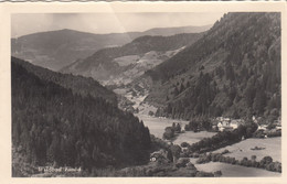 C641) Wildbad EINÖD - Steiermark -  Viel Wald - Ansicht Richtung Anlangen ALT 1956 - Neumarkt