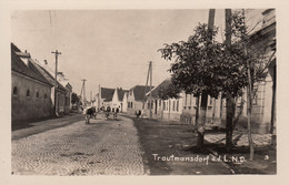 AK - TRAUTMANNSDORF A/ D Leitha - Kühe In Der Dorfstraße 1938 - Bruck An Der Leitha