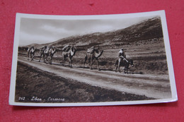 Liban Lebanon Caravane N. 242 Ed. Gulef NV - Lebanon