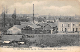 Château Du Loir          72       Quartier Saint Sauveur. La Champignonnerie               (voir Scan) - Chateau Du Loir