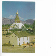 BUDDHANATH STUPA. KATHMANDU. - Népal