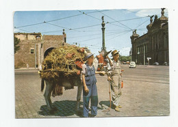 Espagne Espana Barcelona Botijeros Potier Marchand Ambulant Métier 1960 - Barcelona