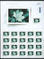 Canada - # 2064 Full Pane Of 21 -  Picture Postage / Picture Frame - Ganze Bögen