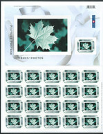 Canada - # 2063 Full Pane Of 21 -  Picture Postage / Silver Ribbon - Hojas Completas