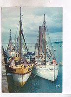 CPM BRETAGNE, BATEAUX DE PECHE AU PORT - Pêche