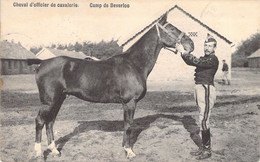 CPA - MILITARIAT - CAMP DE BEVERLOO - Cheval D'Officier De La Cavalerie - Autres & Non Classés