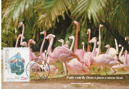 CARTE MAXIMUM - MAXICARD - CARTOLINA MAXMA - MAXIMUM CARD - PORTUGAL - OISEAUX - BIRDS - FLAMANT - Phoenicopterus Ruber - Flamingo's