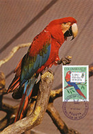 Maximum Card Same Subject Both Card And Stamp Bogota 1974 Basel Zoo Suisse UPU Bern  First Day - Colombie