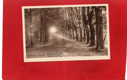 BELGIQUE---TERVUEREN---le Parc--allée Des Maronniers---voir 2 Scans - Tervuren