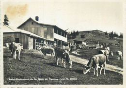 Postcard Switzerland Dent De Vaulion Chalet-restaurant Cows - Vaulion