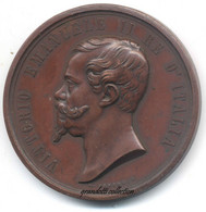 VITTORIO EMANUELE II RE D'ITALIA LONDRA 1862 MEDAGLIA MINISTERO AGRICOLTURA - Adel