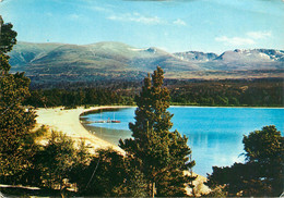 CPSM Loch Morlich And The Cairngorms-Timbre      L1912 - Inverness-shire