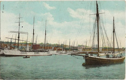 ILE DE WIGHT EN 1905 COWES HARBOUR BEAU PLAN DE BATEAUX PORT SIMPLE OFFEERT - Cowes