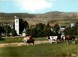 Champdor * Vue Générale Du Village - Non Classés