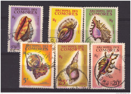 05513  -   Comores  :   Yv  19-24  (o)  Coquillages - Used Stamps