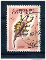 Comores  :  Yv  23  (o)      ,  N1 - Used Stamps