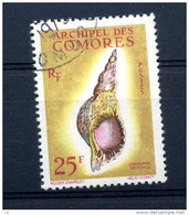 Comores  :  Yv  24  (o)  Coquillages   ,   N1 - Gebraucht