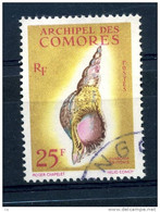 Comores  :  Yv  24  (o)  Coquillages   ,   N2 - Gebraucht