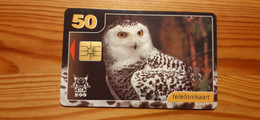 Phonecard Estonia - Owl - Estonia