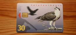 Phonecard Estonia - Bird - Estland