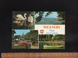 MESSERY Haute Savoie 74140 : Plage Sur Les Bords Du Lac Léman - Messery