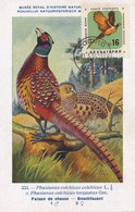 Maximum Card Same Subject Both Card And Stamp Faisan Pheasant Hunting Hubert Dupond Art Card Sofia 1961 - Bulgarie