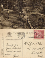 British Guiana, Guyana, Demerara, Alluvial Gold Digging (1924) Tuck Postcard - Guyana (ex Guyana Britannica)