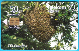 BEES ... Slovenian Old Rare Card * Honeybee Abeille Bee Biene Abeja Ape Bienen Api Abejas Abelhas Abeilles Honeybees - Honingbijen