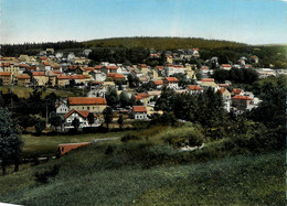 Le Chambon Sur Lignon * Vue Générale Sur Le Village - Le Chambon-sur-Lignon