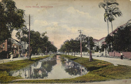 British Guiana, Guyana, Demerara, GEORGETOWN, Camp Street (1910s) Postcard - Guyana (antigua Guayana Británica)