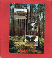 40----MORCENX----Multi-vues---voir 2 Scans - Morcenx