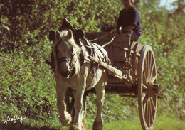 CPM Cheval De Trait Tirant Une Cariole Ou Charrette - Photo P Lorne - Non Circulé - Horses