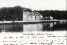 Vallée De La Meuse - Le Château De WAULSORT - Oblitération De 1904 - Hastière