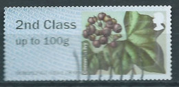 GROSBRITANNIEN GRANDE BRETAGNE GB 2014 POST&GO WINTERFLOWERS: COMMON IVY 2ND CLASS Up To 100g SG FS109 - Post & Go Stamps